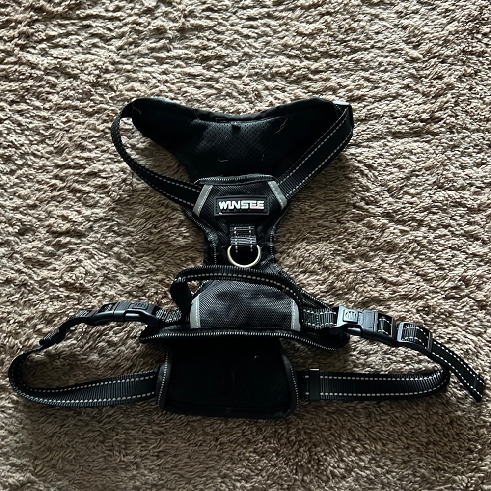 Large black harness!